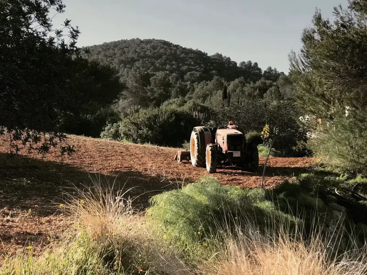 Traktor pflûgt die Felder der Finca Legado