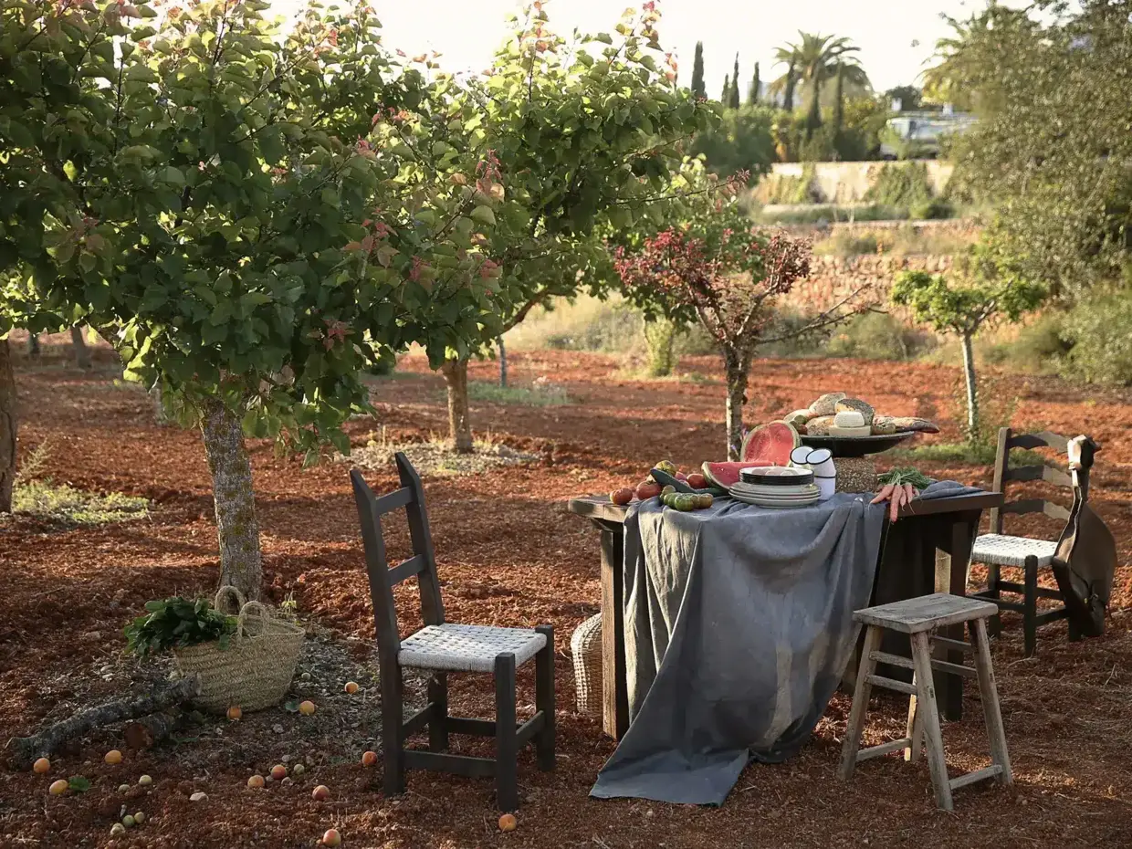 Stillife Picknick in between Finca Legado fruit trees