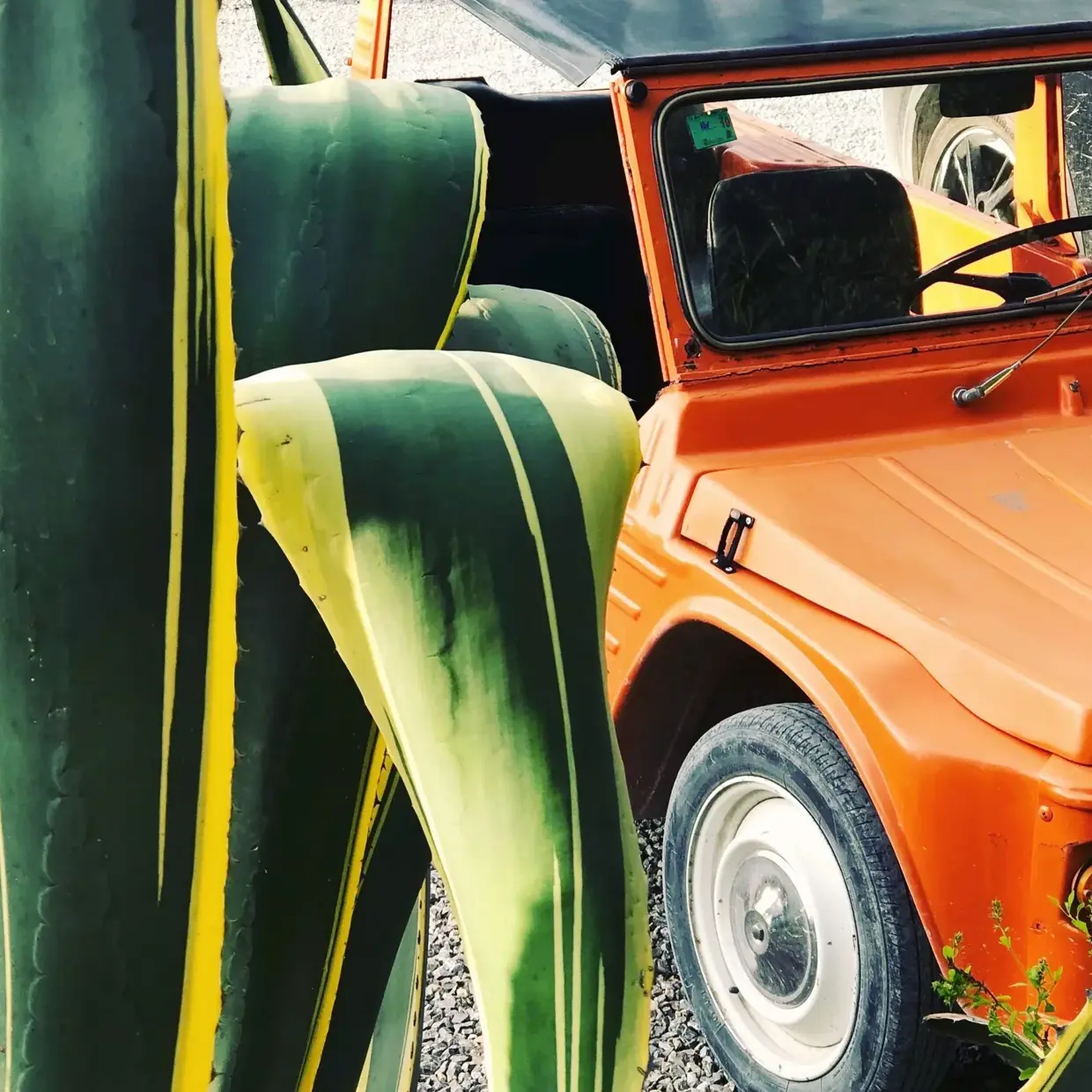 Giant agave and vintage Citroën Méhari at Finca Legado