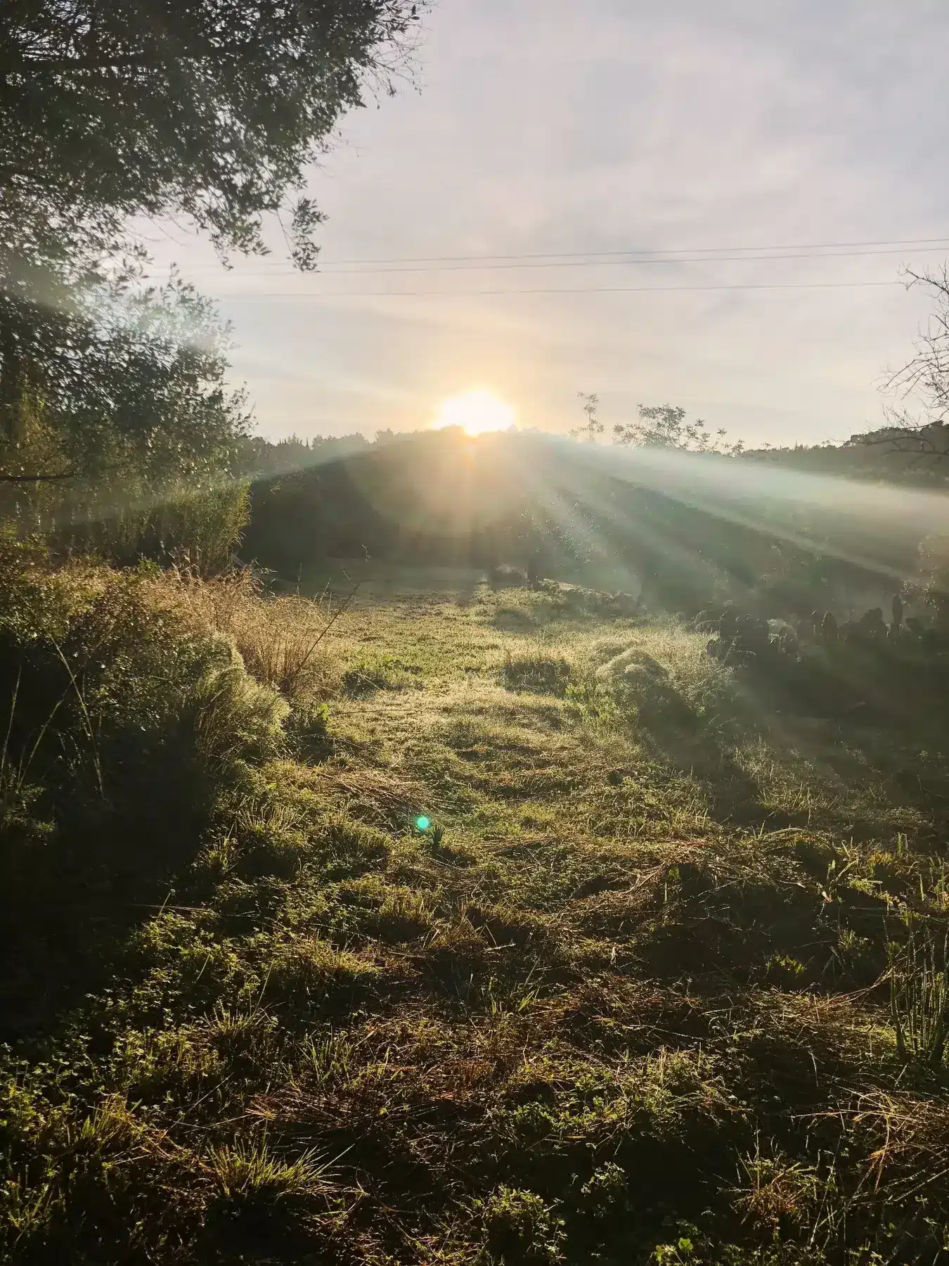 Sonnenaufgang über Finca Legado