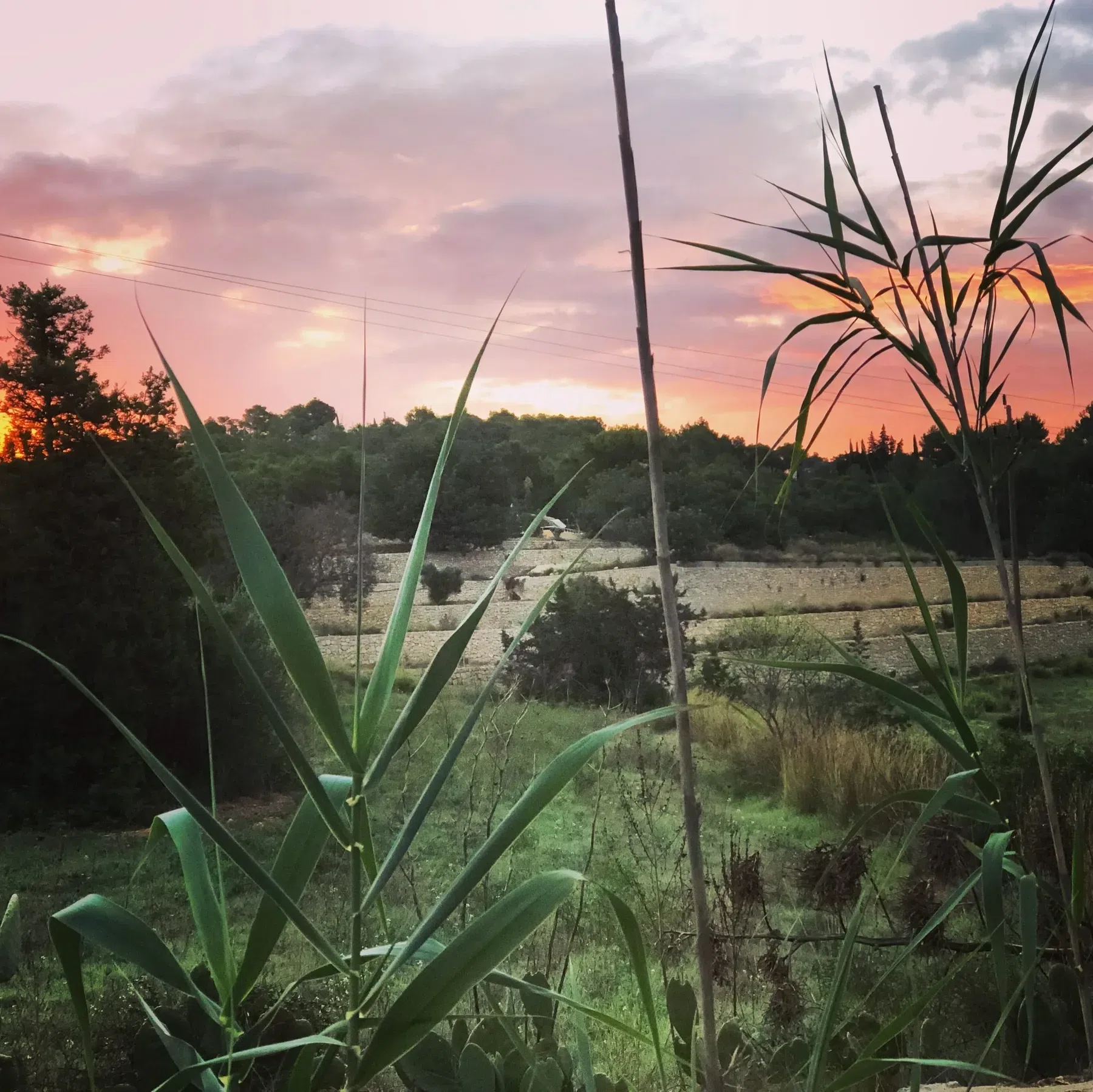 Sunrise at Finca Legado